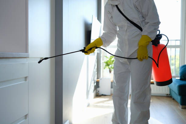 Best Localized Mold Remediation (e.g., coastal areas, humid climates) in Evanston, IL